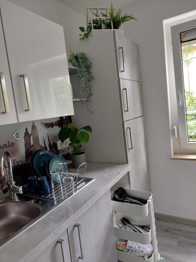 Gemuetliches, Voll Ausgestattetes Apartment ハレ エクステリア 写真